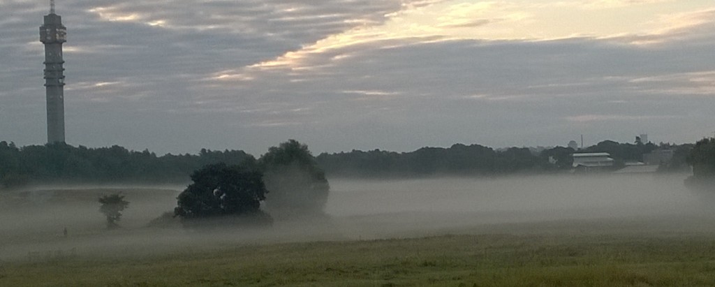 #9 – Jan Lennström